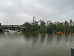 -上海长兴岛郊野公园