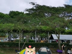 -碧海金沙