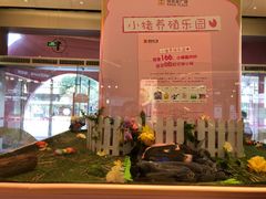 -布吉佳兆业广场