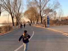 -丁香湖公园
