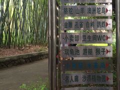 -广东茂名森林公园