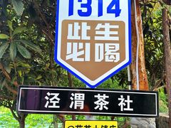 -茯茶镇