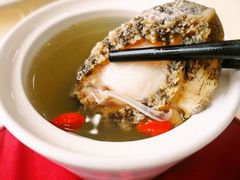 鲍鱼-海岛渔村大酒店(云霄路店)