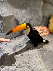 -Zoolung Zoolung动物主题公园(海信广场店)