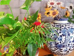 景观位-辣婆婆(航天桥店)