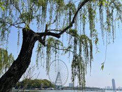 -无锡蠡湖国家湿地公园-蠡园