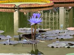 -国家植物园南园