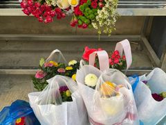 -三圣花乡旅游区