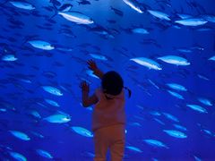 -沈阳海洋探索中心