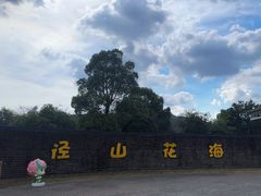-径山花海