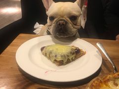 -百好乐宠物友好餐厅(朝外大街店)