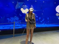 -烟台海昌鲸鲨海洋公园