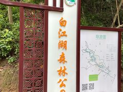 -广州白江湖森林公园