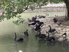 -黔灵山公园