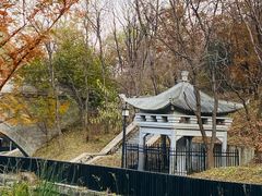-白水寺森林公园