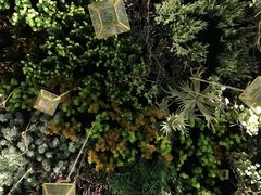 -潮粥荟·潮汕砂锅粥(朝阳大悦城店)