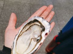 -蚝英雄鲜蚝自助专门店(长楹天街直营店)