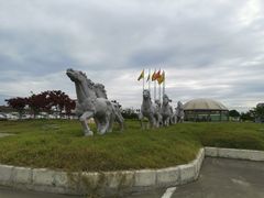-胜华驾校·小猫学车(银都店)
