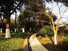 -花溪公园