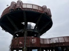 -芒洲湿地公园