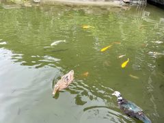 -广州神农草堂中医药博物馆