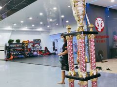 -拳义格斗搏击散打泰拳拳击俱乐部(裕华店)