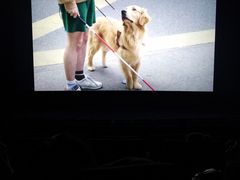 -金逸影城(大悦城IMAX激光店)