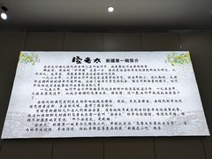 -安老太新疆第一碗(文艺路店)