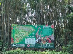 -海南热带野生动植物园