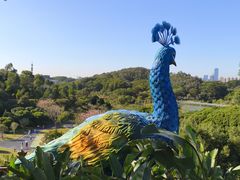 -东莞植物园