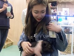 -藦茜花园宠物主题亲子互动体验馆(国顺东路店)