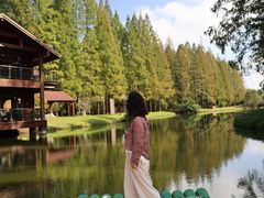 -黄海国家森林公园