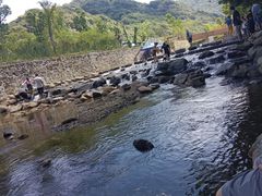 -北仑森林植物园