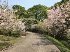 -南山植物园