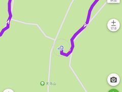 -上海佘山国家森林公园天马山园