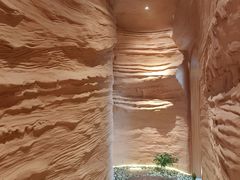 -云想 广式茶餐厅