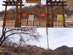 -成吉思汗公园