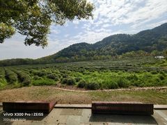 -中国茶叶博物馆(双峰馆区)