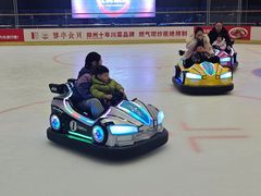 -冰纷万象滑冰场(二七万象城店)