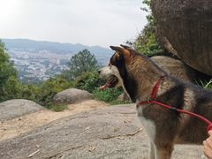 -火炉山森林公园