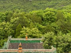 -普乐寺