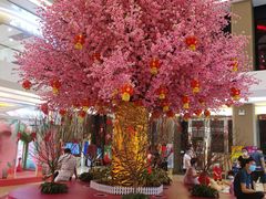 -嘉荣SPAR超市(家和城广场店)