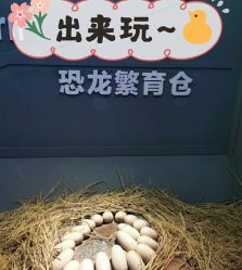 -恐龙探索乐园(磁器口店)