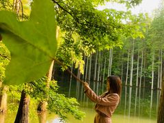-波尔登森林公园