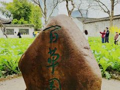 -绍兴鲁迅故里·沈园景区