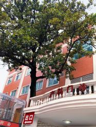 -复旦大学附属妇产科医院(黄浦院区)