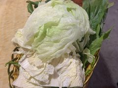 -仙蘑洞