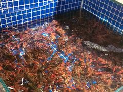 -破瓦寒窑·地摊烤羊排