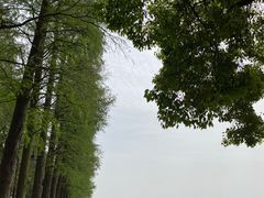 -东湖生态旅游风景区