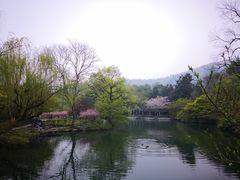 -西湖游船